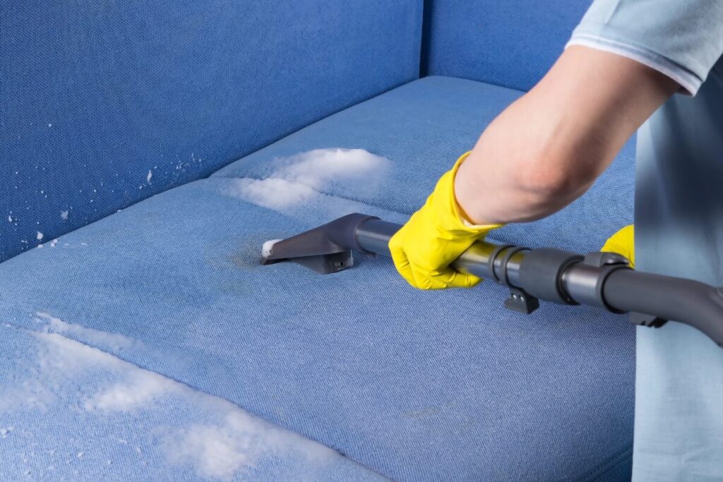 professional upholstery clenaing